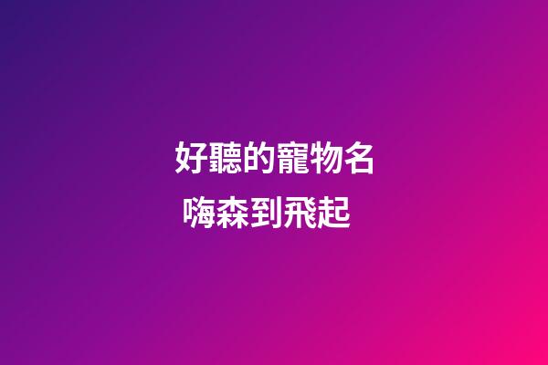 好聽的寵物名 嗨森到飛起